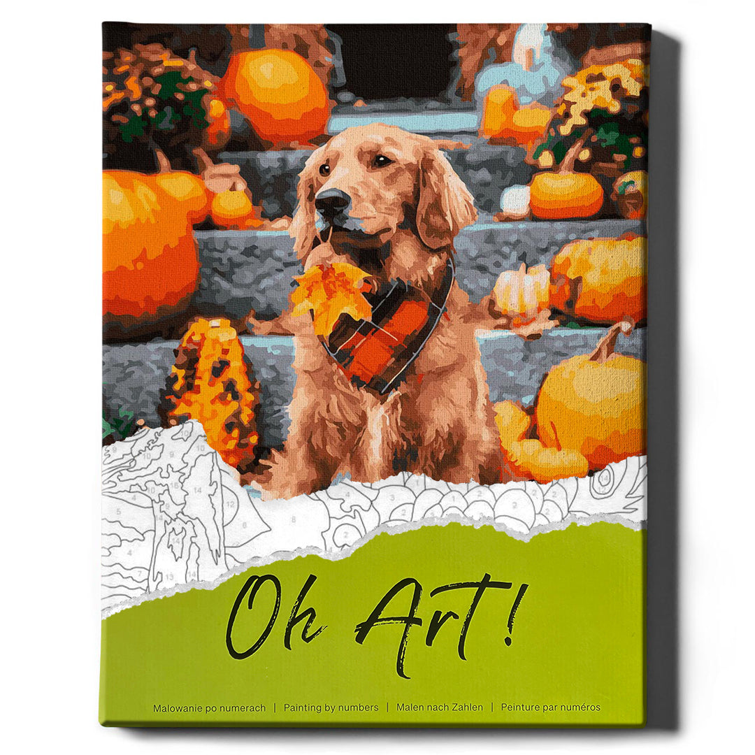 Schilderen voor cijfers - Retriever en Pumpkins