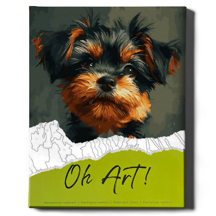 Painting by numbers - Yorkshire Terrier