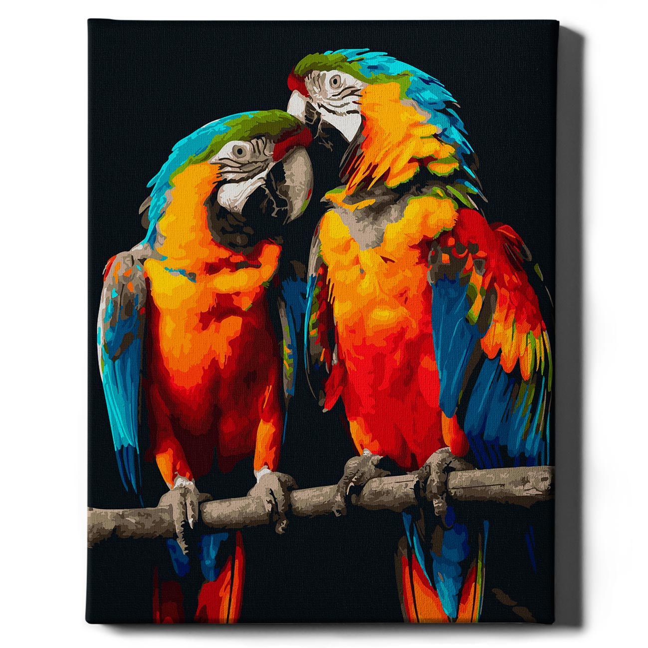 Painting by numbers - Two parrots