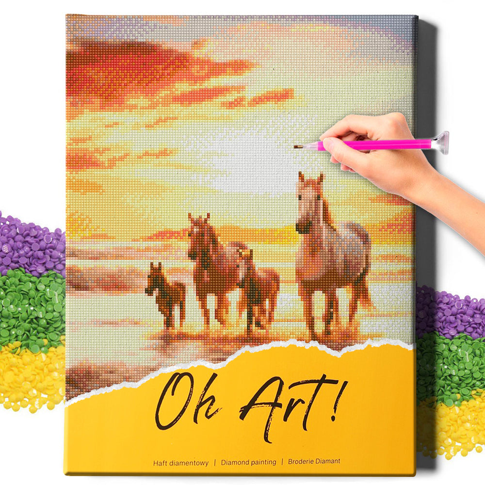 
                      
                        5D Diamond Schilderijenset 40x50 met lijst - Paarden aan zee
                      
                    