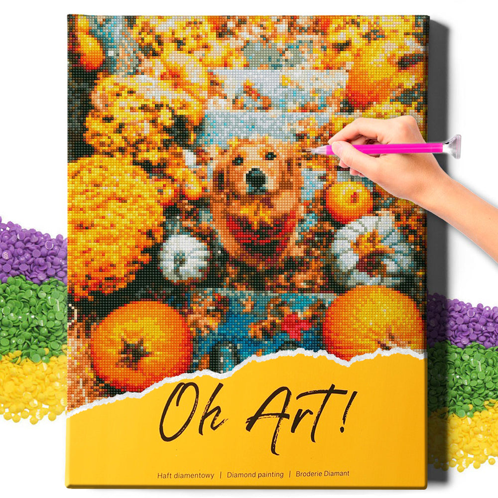 
                      
                        5D Diamond Schilderijenset 40x50 met lijst - Retriever en pompoenen
                      
                    