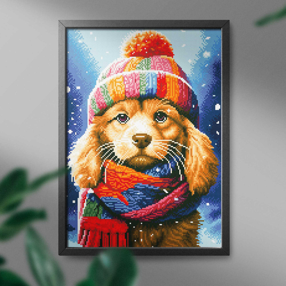 
                      
                        5D Diamond Schilderijenset 40x50 met lijst - Puppy met muts
                      
                    