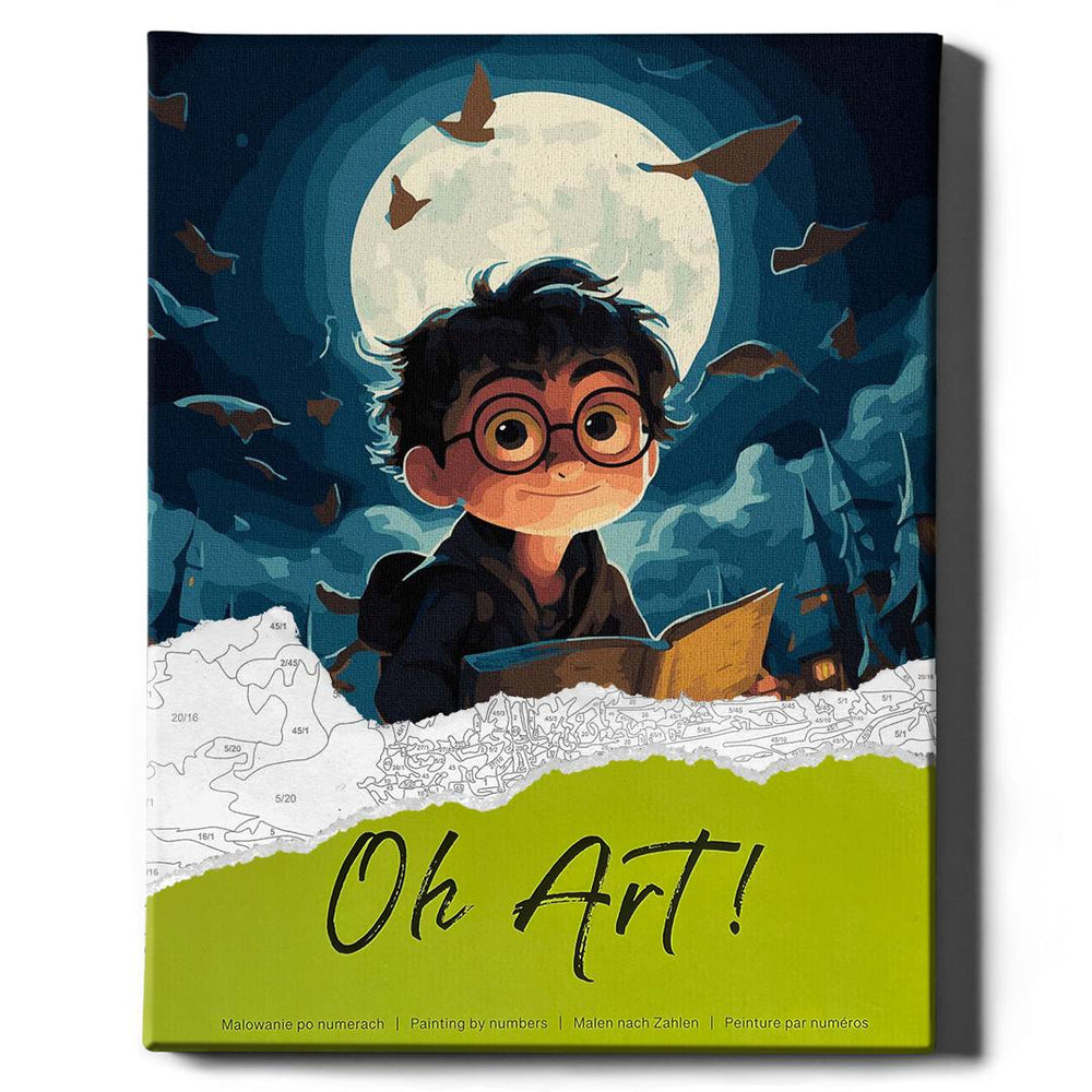 Schilderen voor cijfers - Harry Potter met een magisch boek